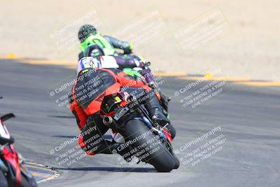 media/Mar-10-2024-SoCal Trackdays (Sun) [[6228d7c590]]/9-Turn 8 Backside (1150am)/